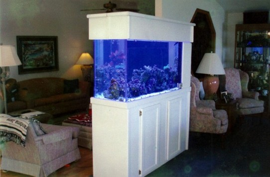 200 Gallon Saltwater Aquarium Kit