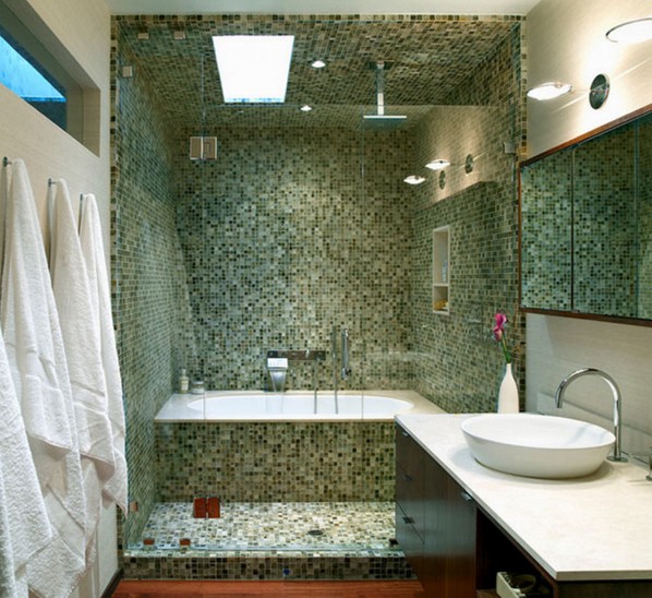 Bathtub & Shower Combination