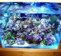 Rimless Aquarium Cube