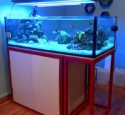 Rimless Aquarium With Stand