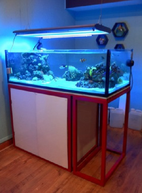 Rimless Aquarium With Stand