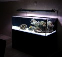 Deep Blue Rimless Aquarium