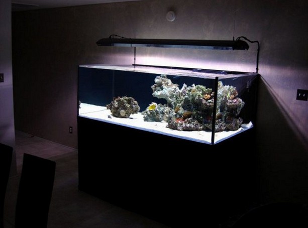 Deep Blue Rimless Aquarium